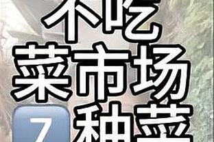 德甲将成为自由球员最贵阵：罗伊斯、胡梅尔斯、沃尔夫在列